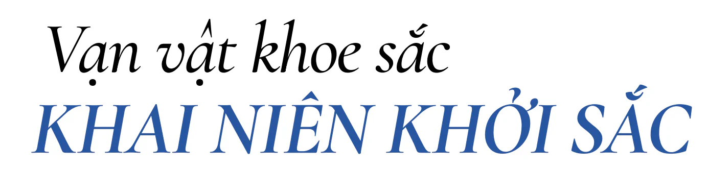 Slogan Rượu Royal Salute 21 tết 2026 Slogan Royal Salute 21