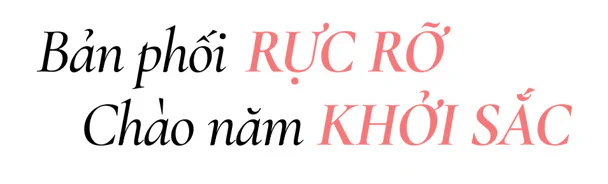 Bản phối Royal Salute 21 Miami Polo Edition 